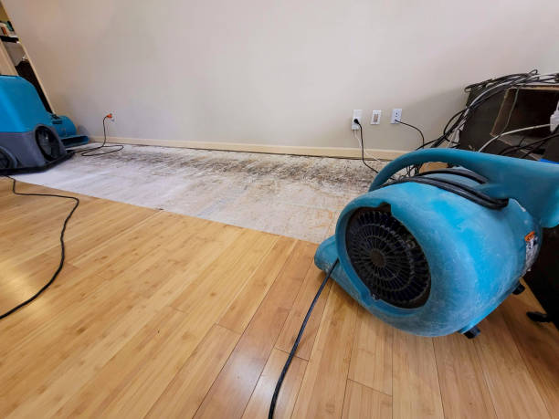 Professional Water Damage Repair technician working in Burtonsville, MD